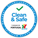 Clean and safe Madeira airport transfer