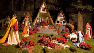 A warm traditional Christmas in Madeira