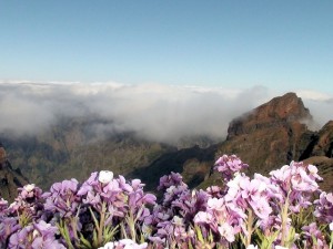 Most exciting March 2015 events in Madeira
