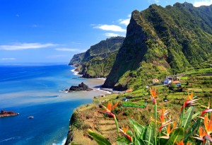 Steilküste bei Boaventura, Nordküste, Insel Madeira, Portugal